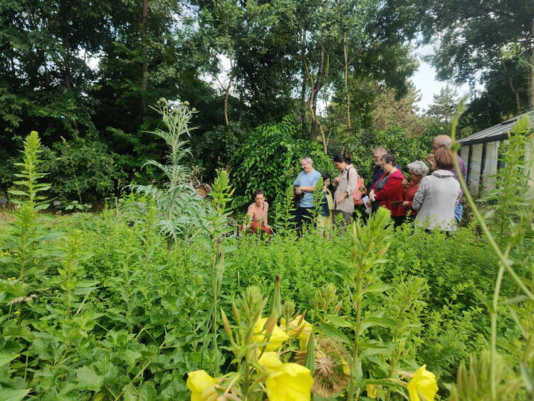 animation-permaculture-paysagiste-angers-49