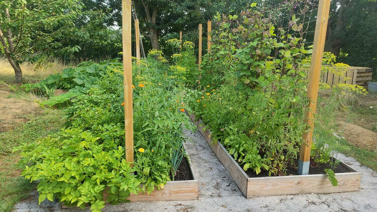 C’est quoi la permaculture ?